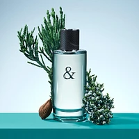 Tiffany & Love Eau de Toilette For Him