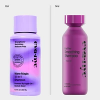 Frizz Fixer Smoothing Shampoo