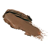 TRUE COLOR Skin Perfecting Stick Foundation SPF 15