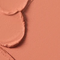 Huestick Color Corrector
