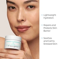 Probiotic 24HR Moisture Boost Cream Moisturizer