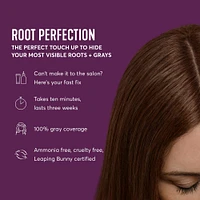 Root Perfection Root Touch Up Kit