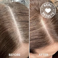 Root Perfection Root Touch Up Kit