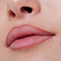 8H Matte Comfort Lipliner - Rosy Nude