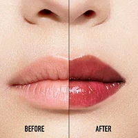 Addict Lip Maximizer Gloss - 024 Intense Brick