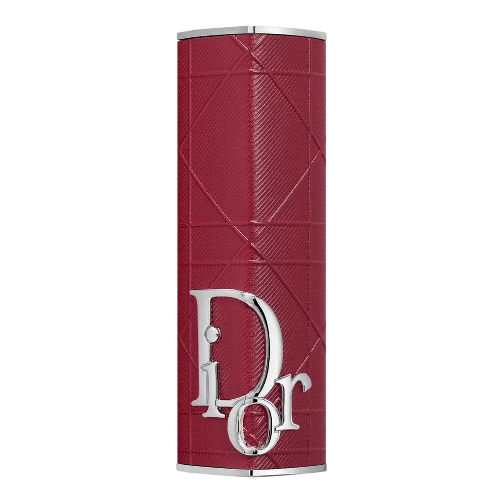 Dior Addict Lipstick Fashion Case