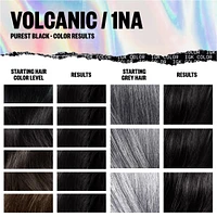 Permanent Color Kit - 1NA Volcanic