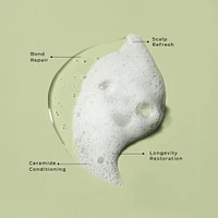 Restorative Shampoo