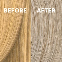 Colorcharm Permanent Crème Toner - T12 Silver Mist