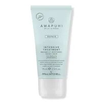 Paul Mitchell Travel Size Awapuhi Wild Ginger Intensive Treatment