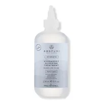 Paul Mitchell Awapuhi Wild Ginger HydraSoft Glossing Treatment