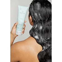 Awapuhi Wild Ginger Nourishing Shampoo