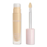 Power Plush Longwear Concealer