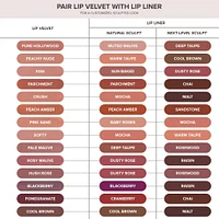 Lip Velvet Full-Pigment Lip Mousse