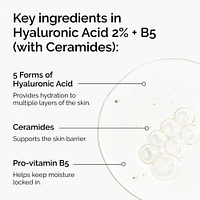 Hyaluronic Acid 2% + B5 Hydrating Serum with Ceramides