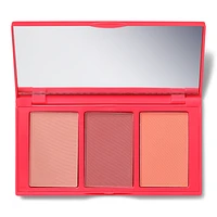 Blush Trio Palette