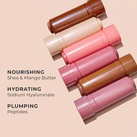 Silky Tint Creamy Multitasking Stick