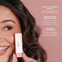 Silky Tint Creamy Multitasking Stick