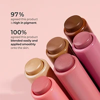 Silky Tint Creamy Multitasking Stick