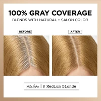 Total Root Touch-Up - 8 Medium Blonde - Malibu