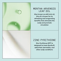 Scalp Recovery System Purifying Shampoo - 6.7 oz