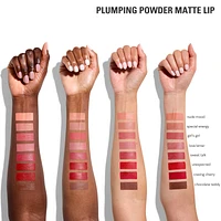 Plumping Powder Matte Lip - Sweet Talk
