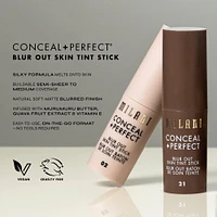 Conceal + Perfect Blur Out Skin Tint Stick