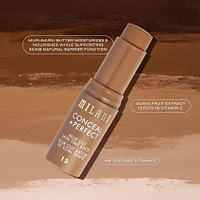 Conceal + Perfect Blur Out Skin Tint Stick