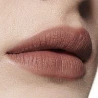 Powder Kiss Liquid Lipcolor Longwear Lipstick