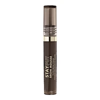 Stay Put Tinted Brow Mousse