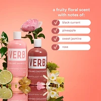 Volume Conditioner - 12.0 oz