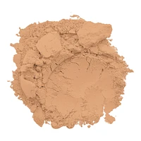 Conceal + Perfect Shine-Proof Powder