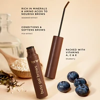 Busy Gal BROWS Tinted Brow Gel