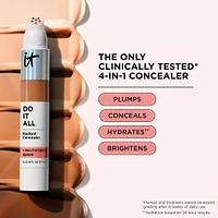 Do It All Radiant Concealer