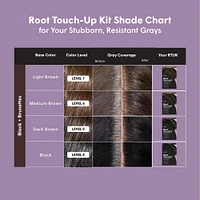 Root Touch-Up Kit for Resistant Gray Hair - Dark Brown