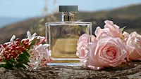 Romance Eau de Parfum