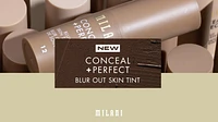 Conceal + Perfect Blur Out Skin Tint Stick