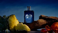 Polo 67 Eau de Parfum - 4.2 oz