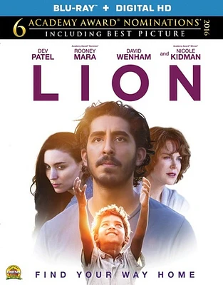 Lion - USED