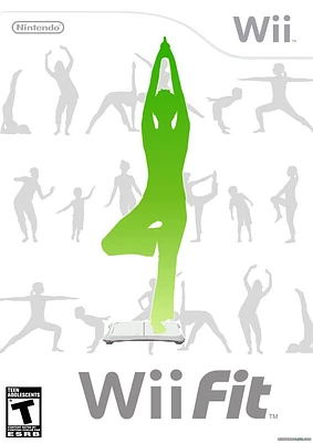 WII FIT (GAME)