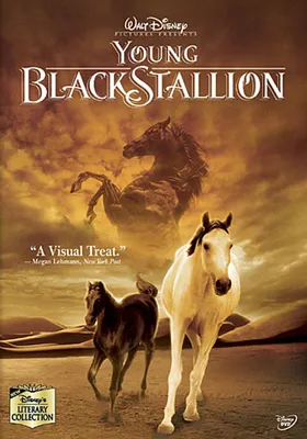 Young Black Stallion - USED