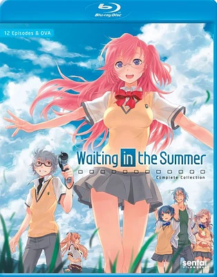 WAITING IN THE SUMMER:COMP (BR - USED