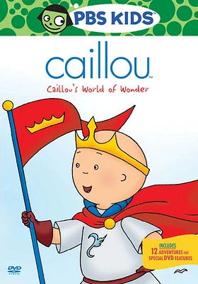 Caillou: Caillou's World of Wonder - USED