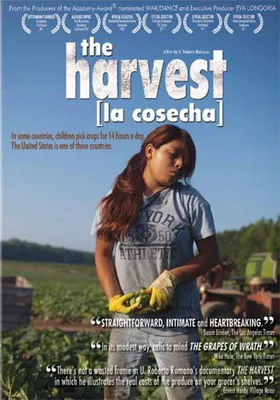 The Harvest (La Cosecha)