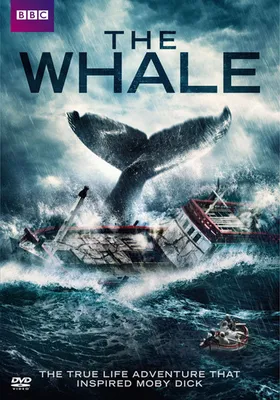 The Whale