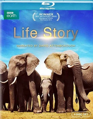 Life Story - USED