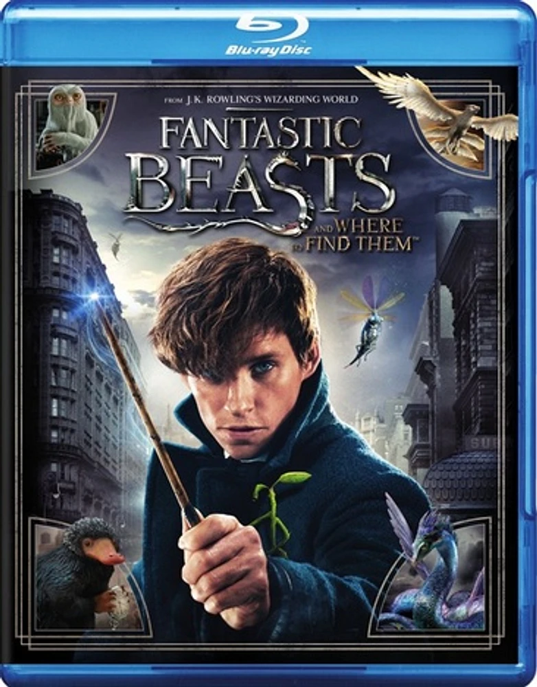 Fantastic Beasts and Where to Find Them