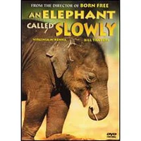 An Elephant Called Slowly - USED