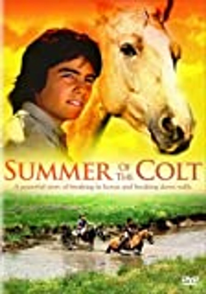 Summer Of The Colt - USED