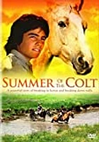 Summer Of The Colt - USED